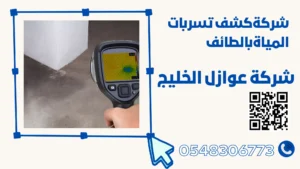 شركة كشف تسربات المياة بالطائف
