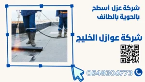 شركة عزل أسطح بالحوية بالطائف