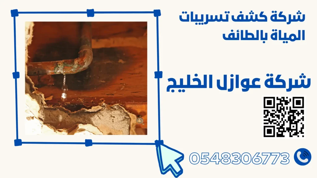شركة كشف تسريبات المياة بالطائف