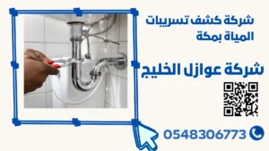 شركة كشف تسريبات المياة بمكة 0548306773