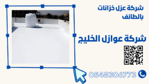شركة عزل خزانات بالطائف