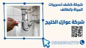شركة كشف تسربات المياة بالطائف 0548306773