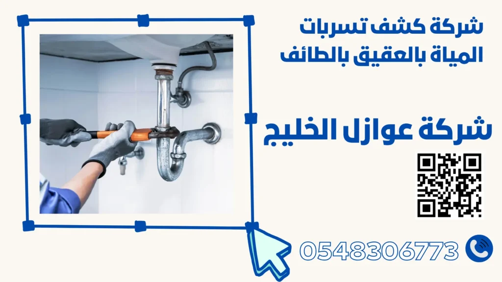 شركة كشف تسربات المياة بالعقيق بالطائف