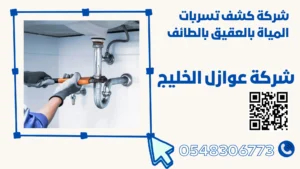 شركة كشف تسربات المياة بالعقيق بالطائف