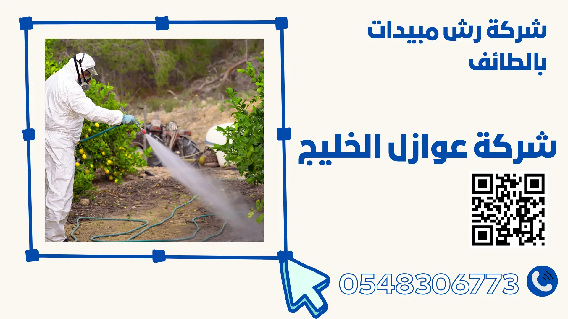شركة رش مبيدات بالطائف 