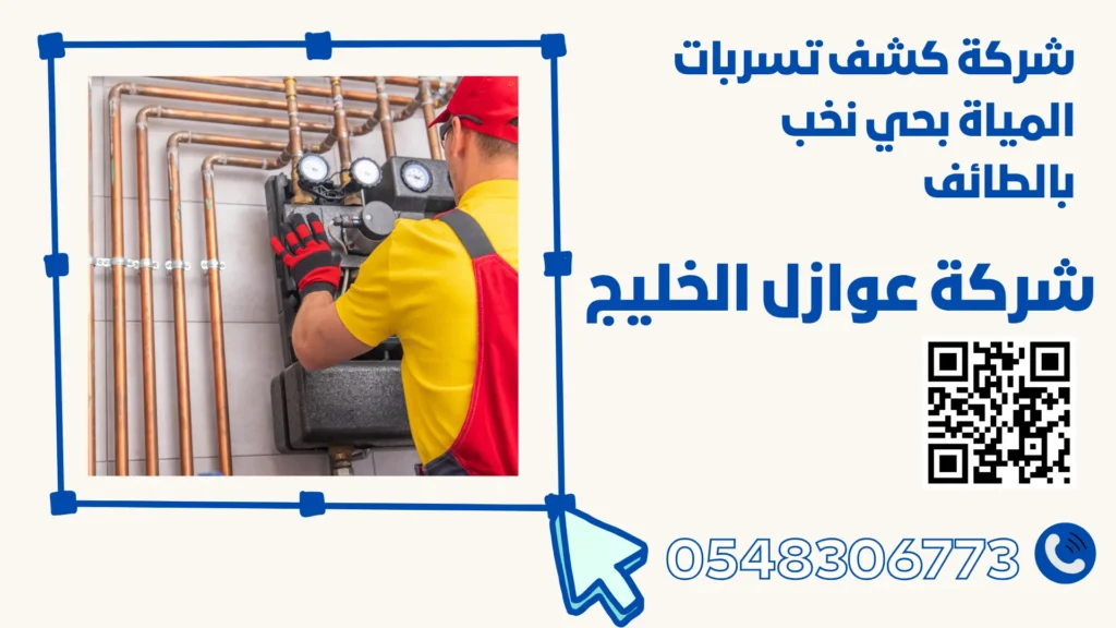 شركة كشف تسربات المياة بحي نخب بالطائف