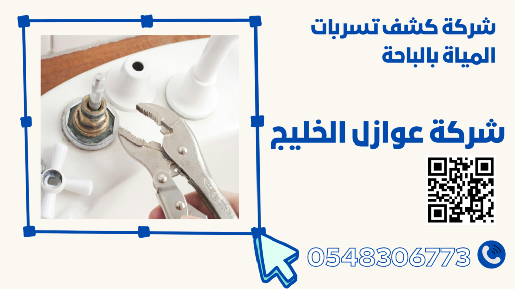 شركة كشف تسربات المياة بالباحة