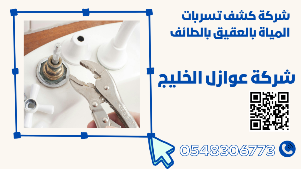 شركة كشف تسربات المياة بالعقيق بالطائف