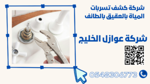 شركة كشف تسربات المياة بالعقيق بالطائف